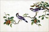 China: Java Sparrow. Watercolour painting from a gouache album of various Chinese birds, 19th century.<br/><br/>

The Java sparrow (Padda oryzivora), also known as the Java rice bird, Java rice sparrow or Java finch, is a resident breeding bird found in Java, Bali and Bawean in Indonesia. It has been a popular cage bird for centuries, especially in China and Japan, as well as in the mid-1900s United States before their import was banned.<br/><br/>

From a collection of beautifully painted Chinese ornithological studies, mid-19th century, by an anonymous painter.