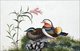 From a collection of beautifully painted Chinese ornothological studies, mid-19th century, by an anonymous painter.<br/><br/>

The Mandarin Duck (Aix galericulata), or just Mandarin, is a medium-sized perching duck. There are now less than 1,000 pairs left in the wild in China.