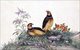 China: Japanese Quail. Watercolour painting from a gouache album of various Chinese birds, 19th century